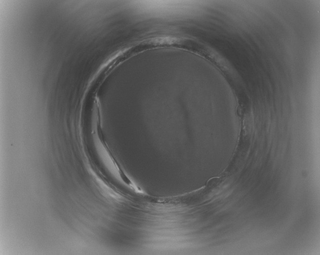 X0000066490722200604072214