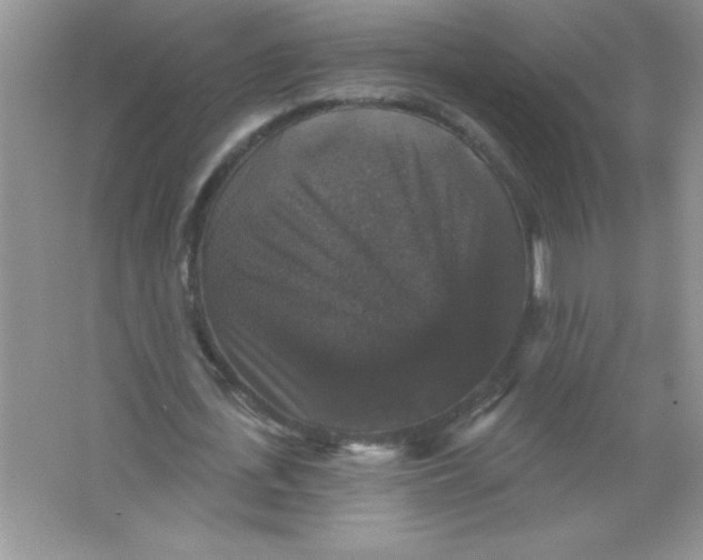 X0000066490723200604072214