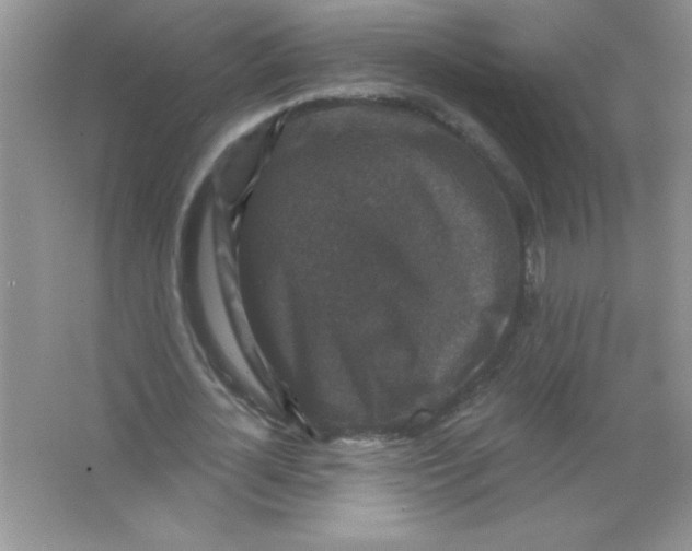X0000066490724200604072214