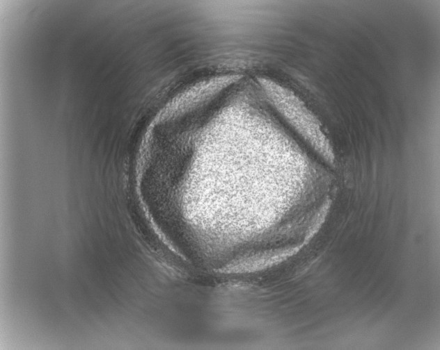 X0000066490737200604072214