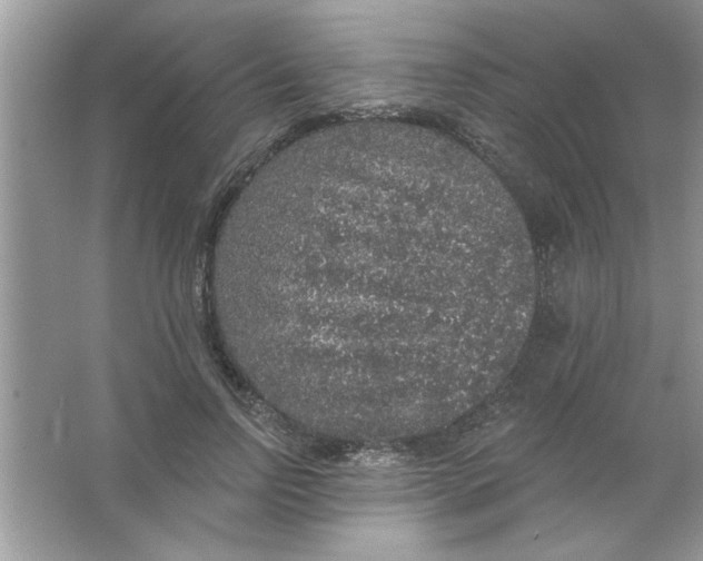 X0000066490742200604072214