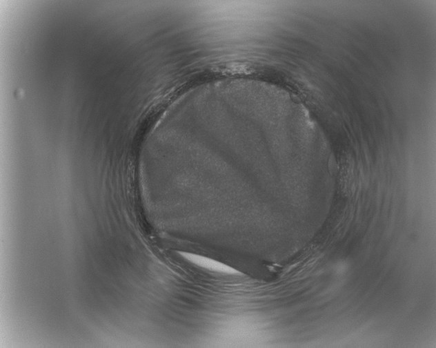 X0000066490747200604072214