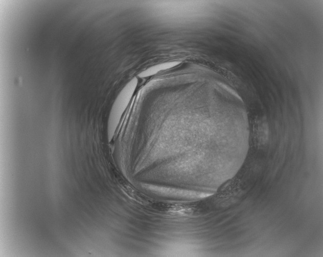 X0000066490760200604072215