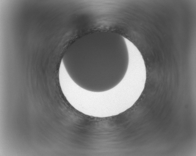 X0000066490769200604072214