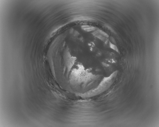 X0000066490775200604072214