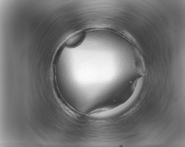 X0000066490787200604072214