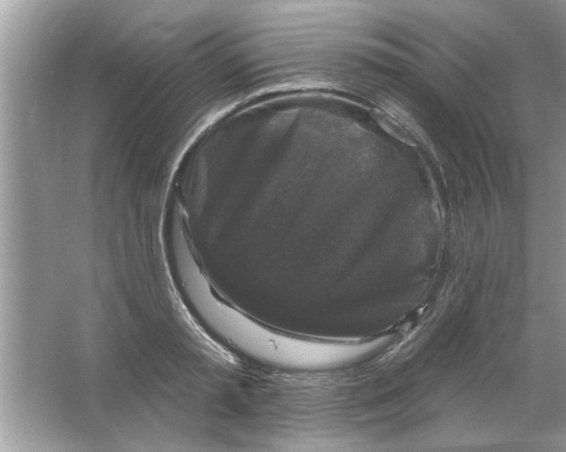X0000066490797200604072213