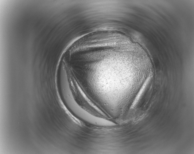 X0000066490803200604072213