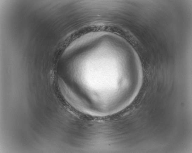 X0000066490821200604072212