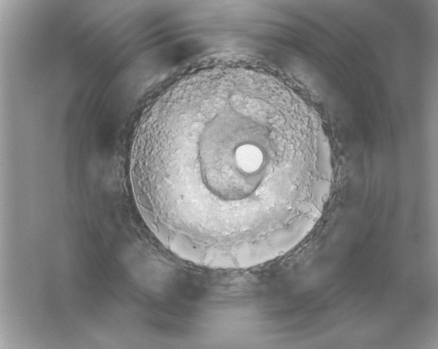 X0000066490824200604072212