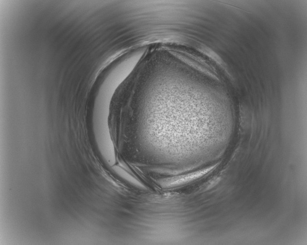X0000066490826200604072212