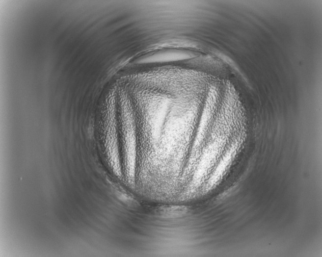 X0000066490833200604072213