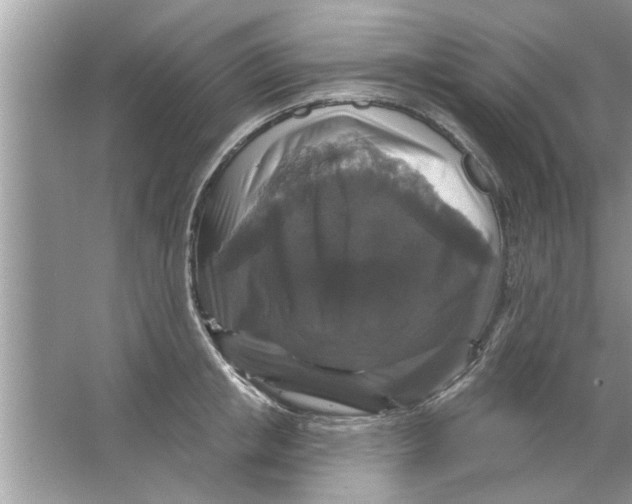 X0000066490853200604072213