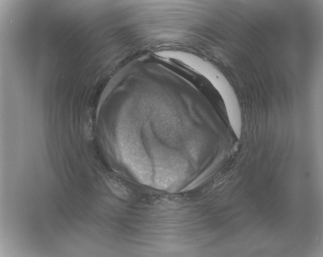 X0000066490868200604072212