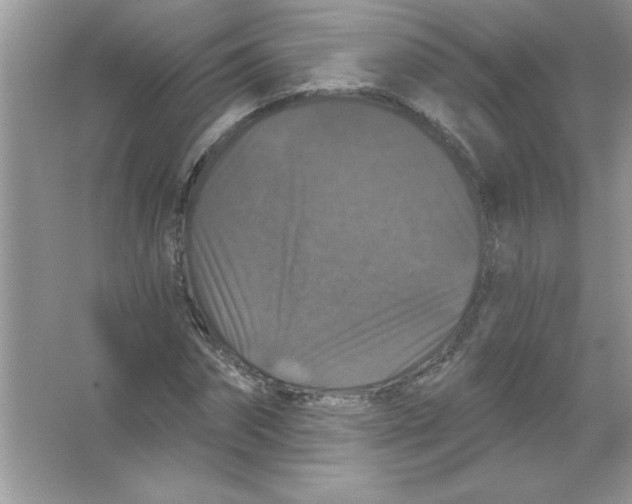 X0000066490874200604072212