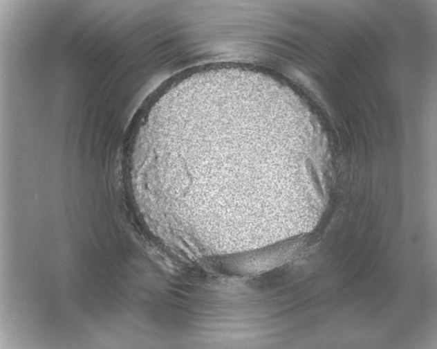 X0000066490875200604072212