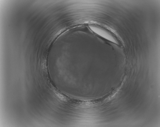 X0000066490881200604072212
