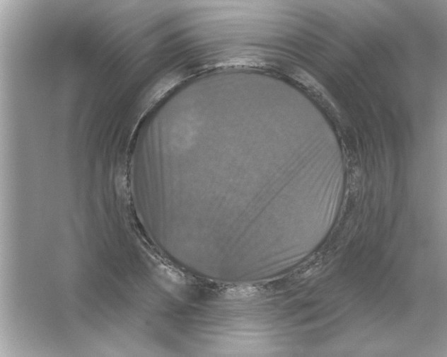 X0000066490882200604072212