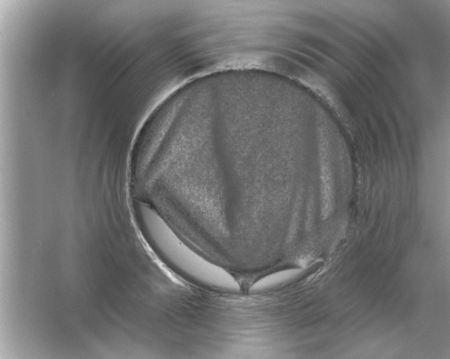 X0000066490894200604072212