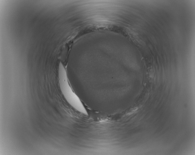 X0000066490916200604072211