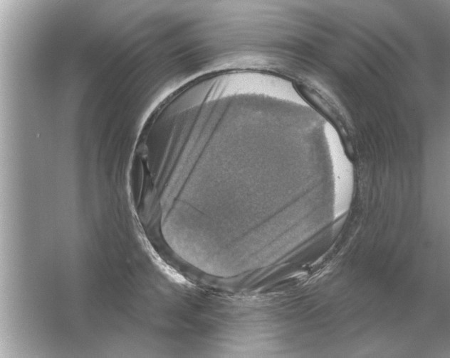 X0000066490944200604072211