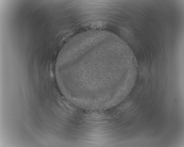X0000066490962200604072211
