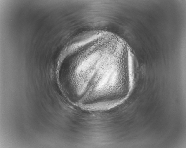 X0000066490963200604072211
