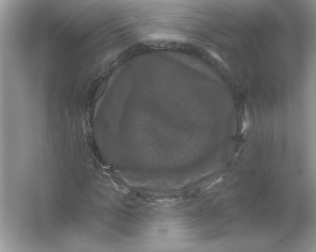 X0000066490965200604072211