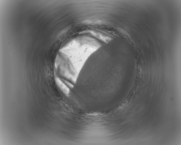 X0000066490966200604072211