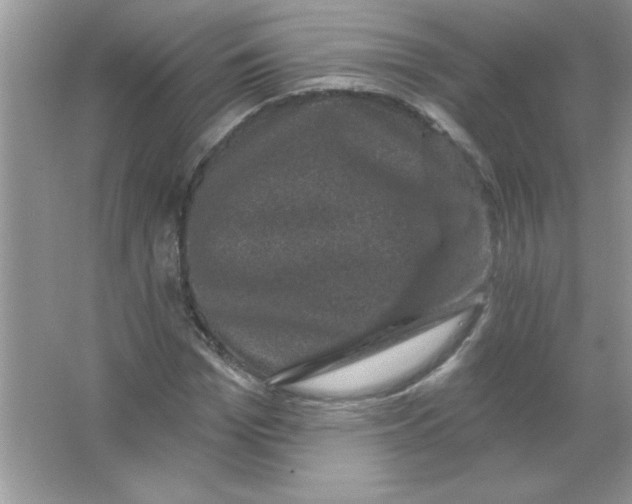 X0000066490969200604072211