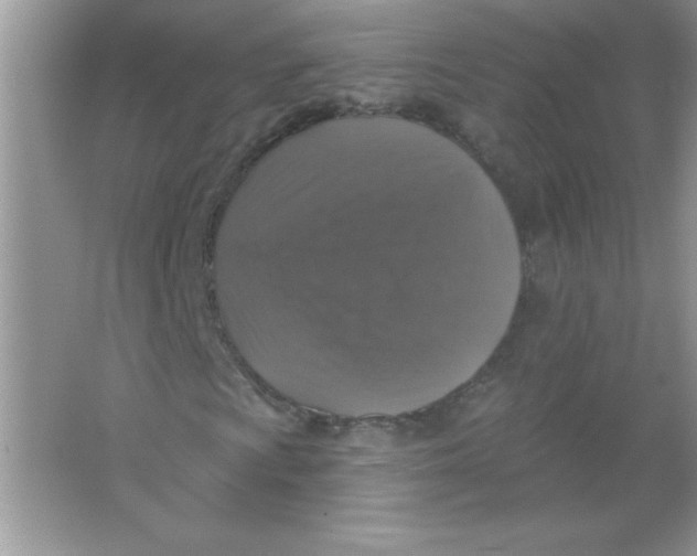 X0000066491009200604072209