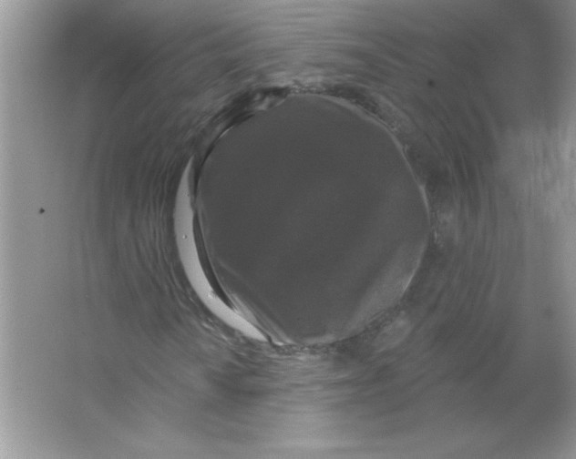 X0000066491010200604072209