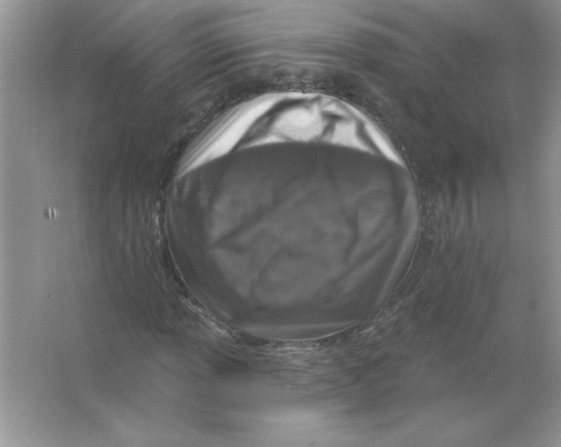 X0000066491013200604072209