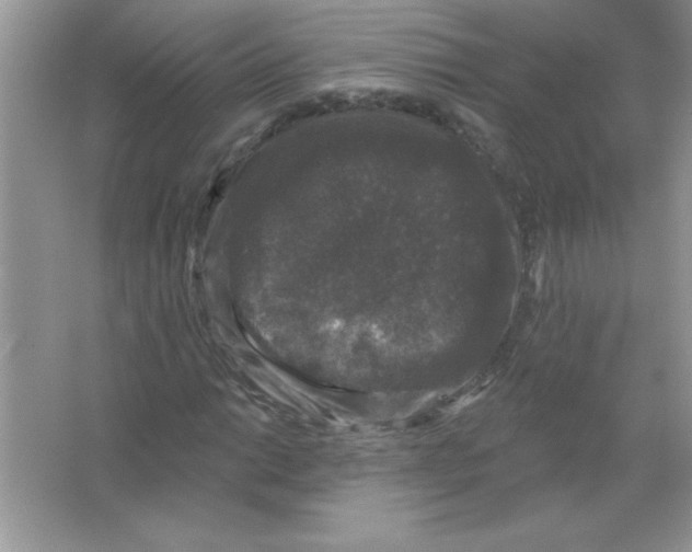 X0000066491014200604072209