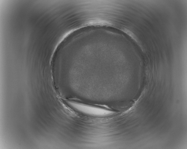 X0000066491022200604072209