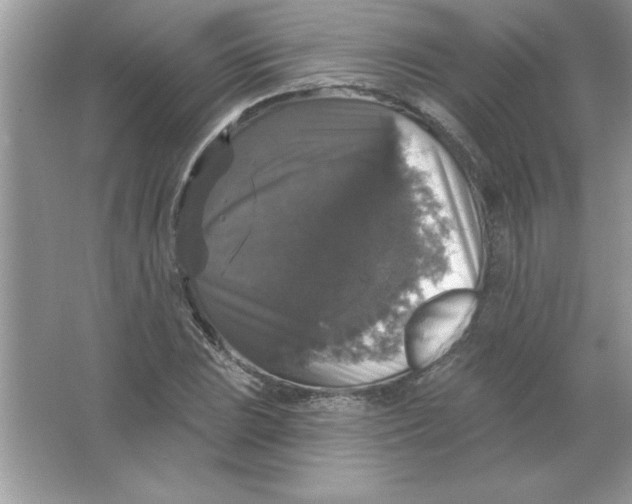 X0000066491023200604072209