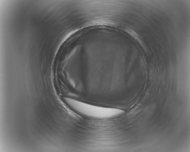 X0000066491024200604072209