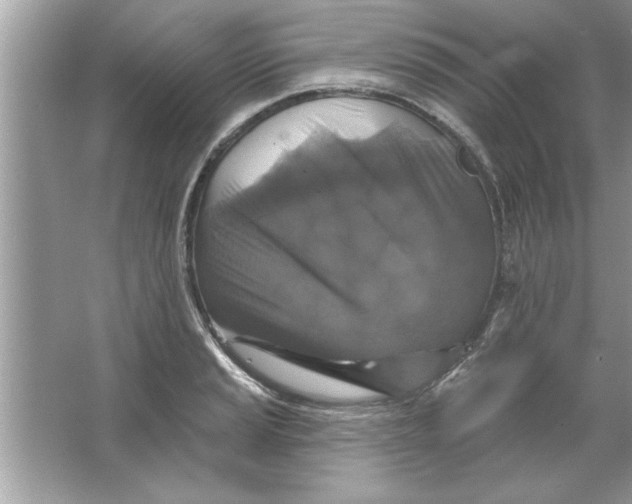 X0000066491037200604072210