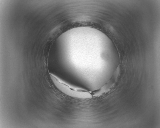 X0000066491062200604072209