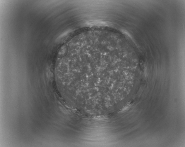 X0000066491063200604072209