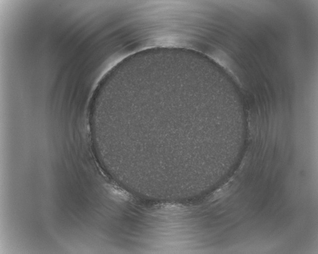 X0000066491070200604072209