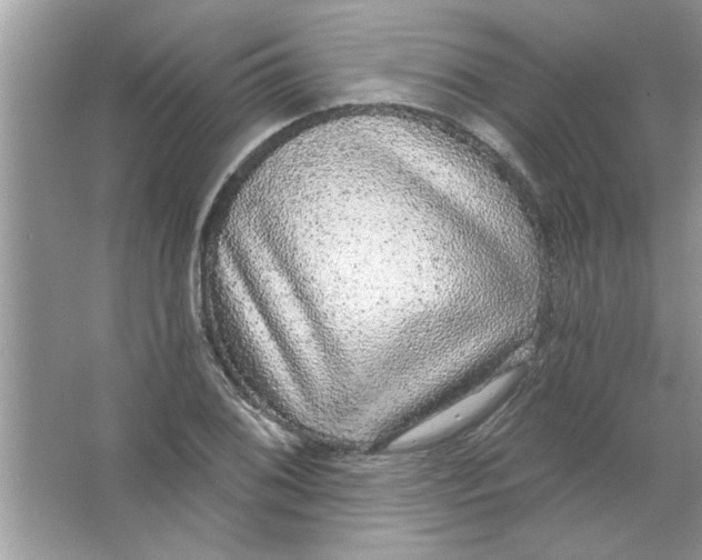 X0000066491076200604072209