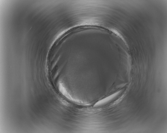 X0000066491077200604072209