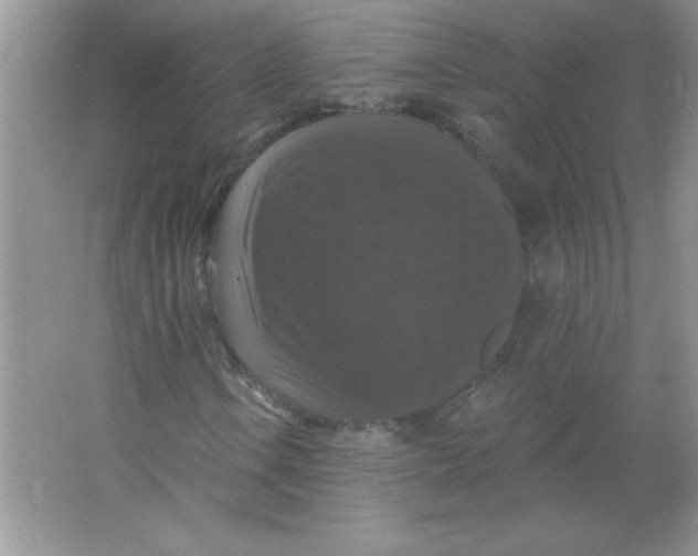 X0000066491106200604072207
