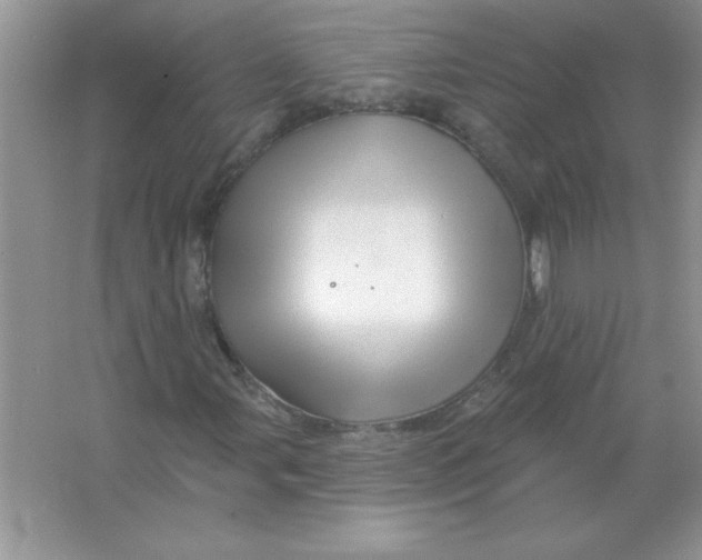 X0000066491107200604072207