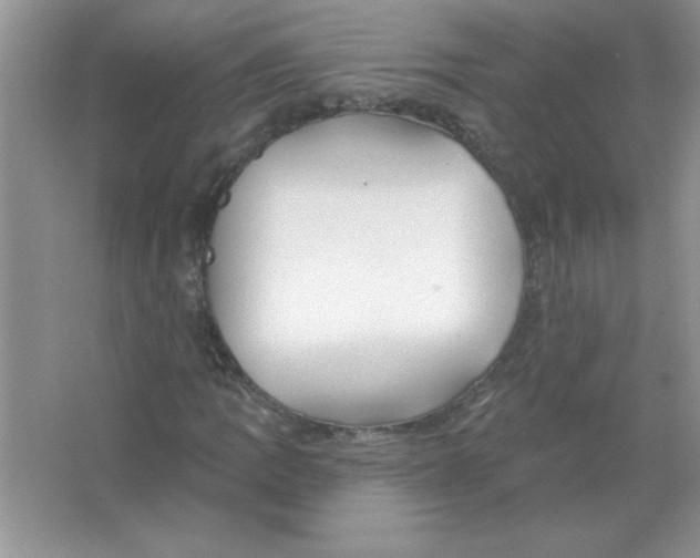 X0000066491109200604072208