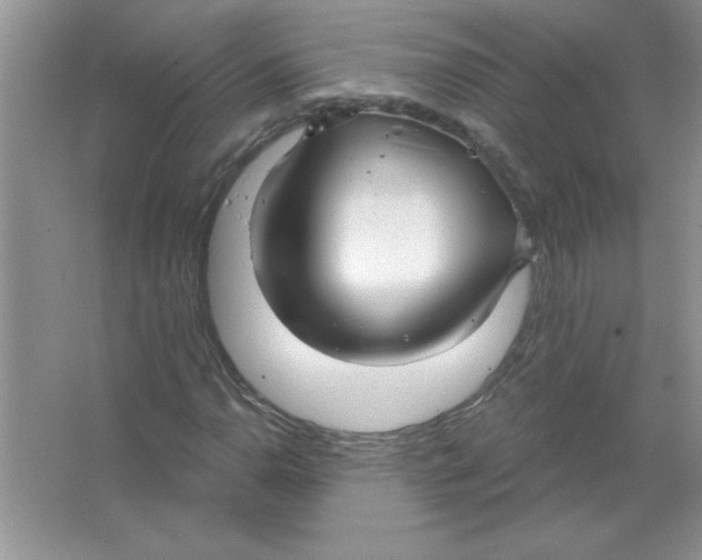 X0000066491110200604072208
