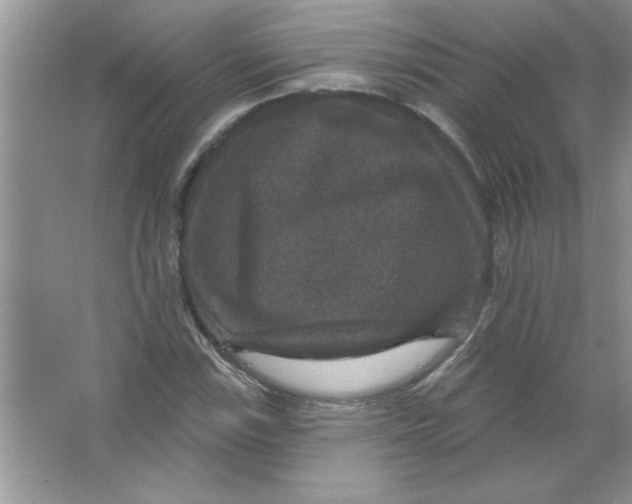 X0000066491115200604072208