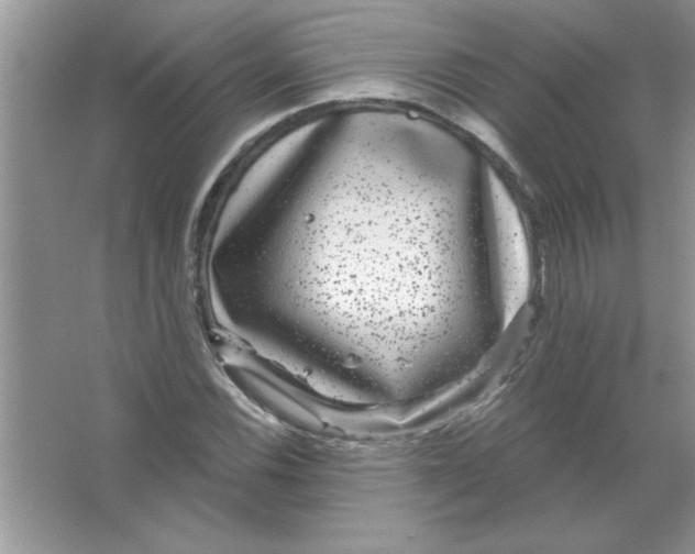 X0000066491116200604072208