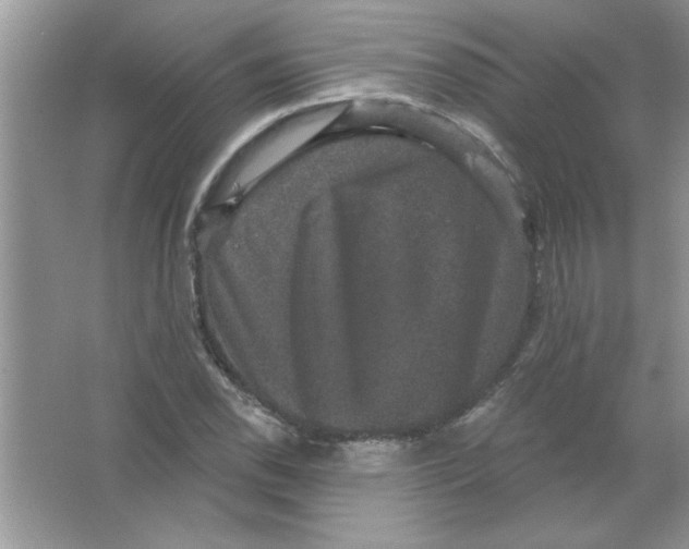 X0000066491118200604072208